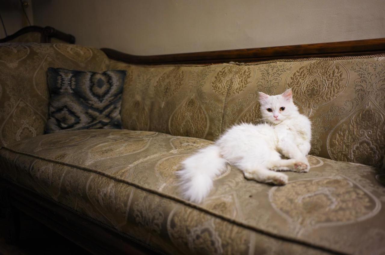 Lucky Hostel ไคโร ภายนอก รูปภาพ